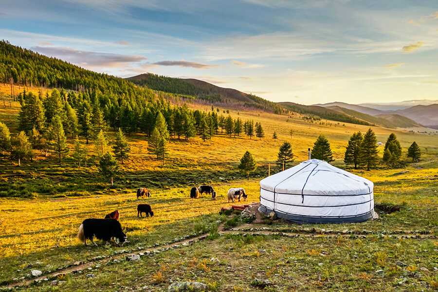 Best time for a Mongolia vacation package