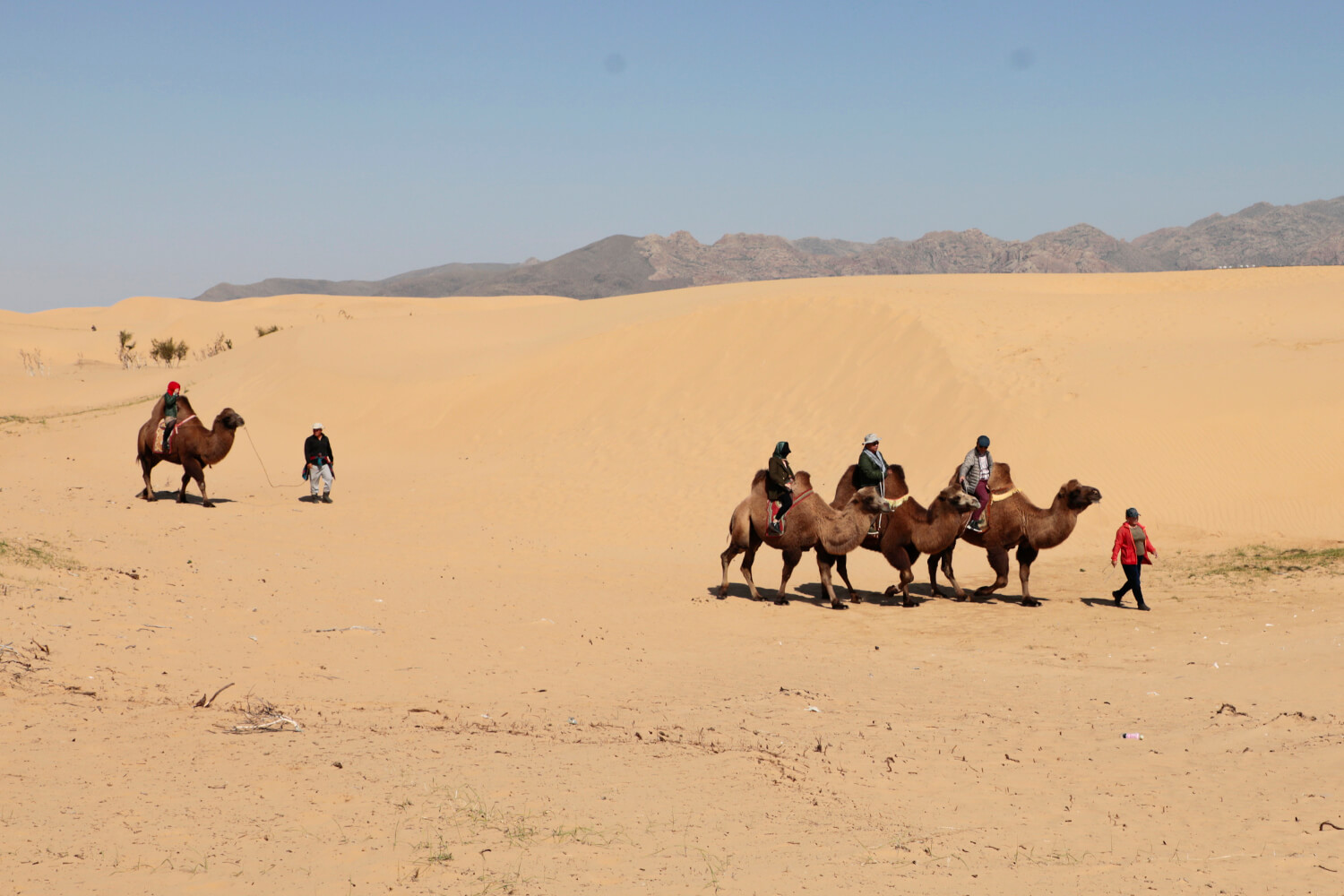 Get Inspiration of a Mongolia tour itinerary