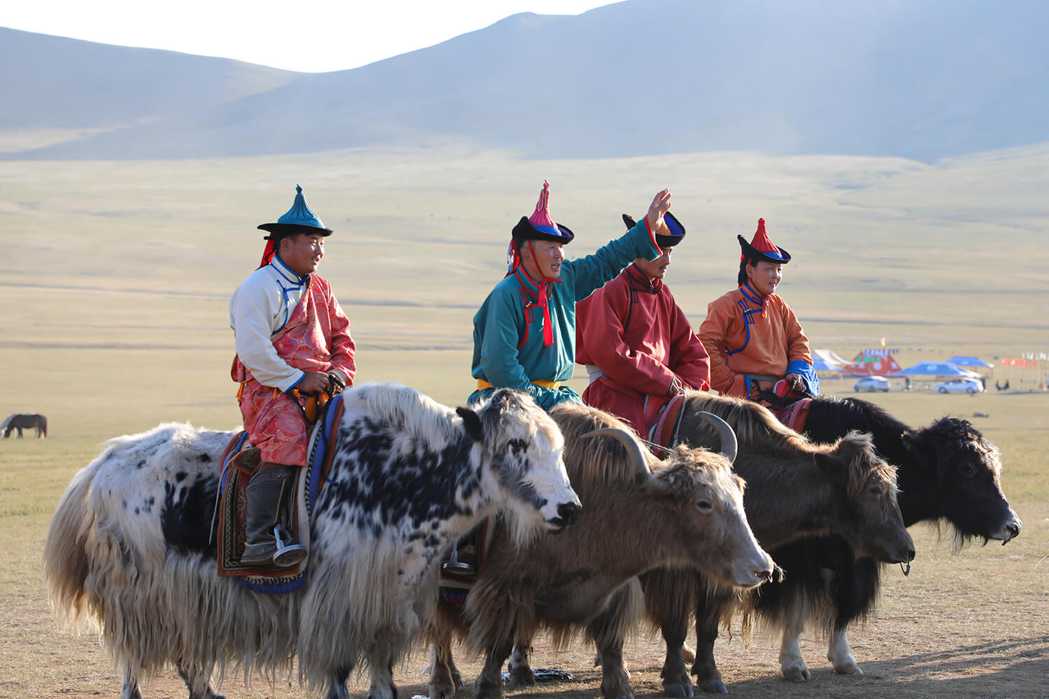 Local Expert Mongolia Service Customizing