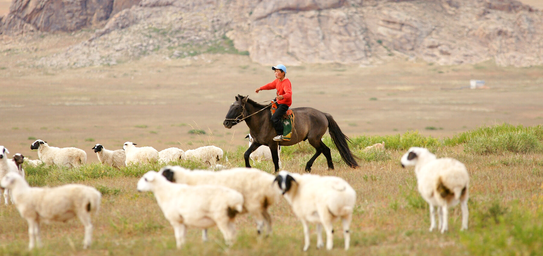 Mongolia adventure tours