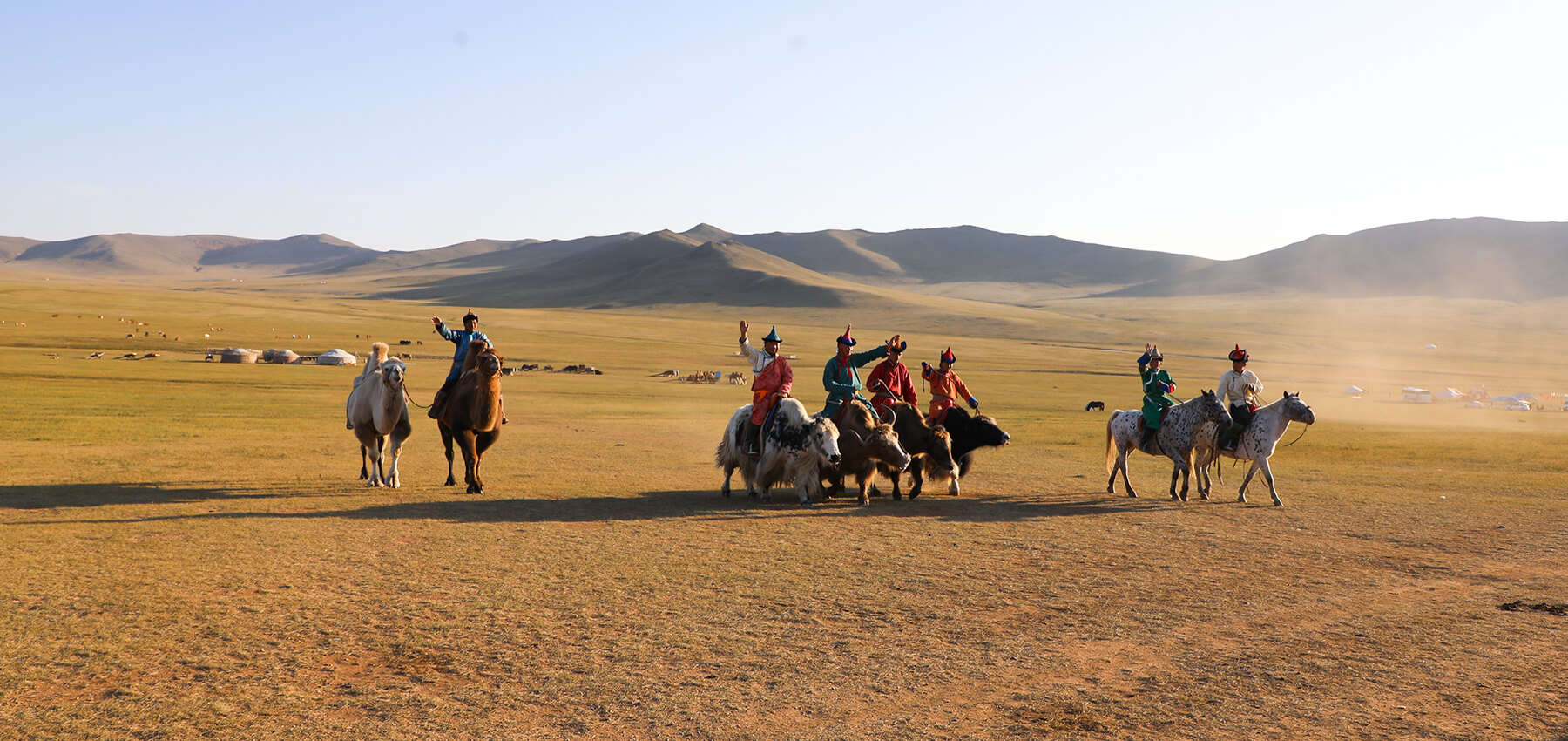 Mongolia grassland trip