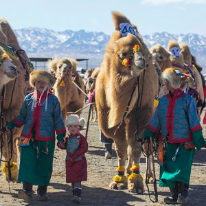 Transportation that visitors use during Mongolia tour package