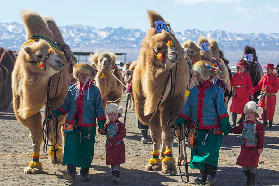 Transportation that visitors use during Mongolia tour package