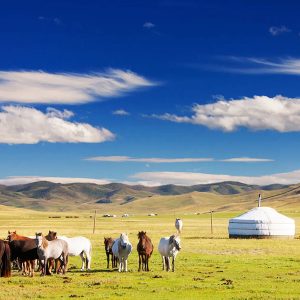 Treasures of Mongolia - Mongolia tour