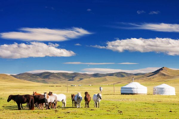 Treasures of Mongolia - Mongolia tour