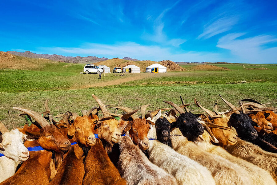 Yol Valley - Mongolia tours