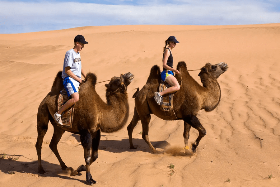 Explore the Gobi dessert – One of The Must-See Place on Earth