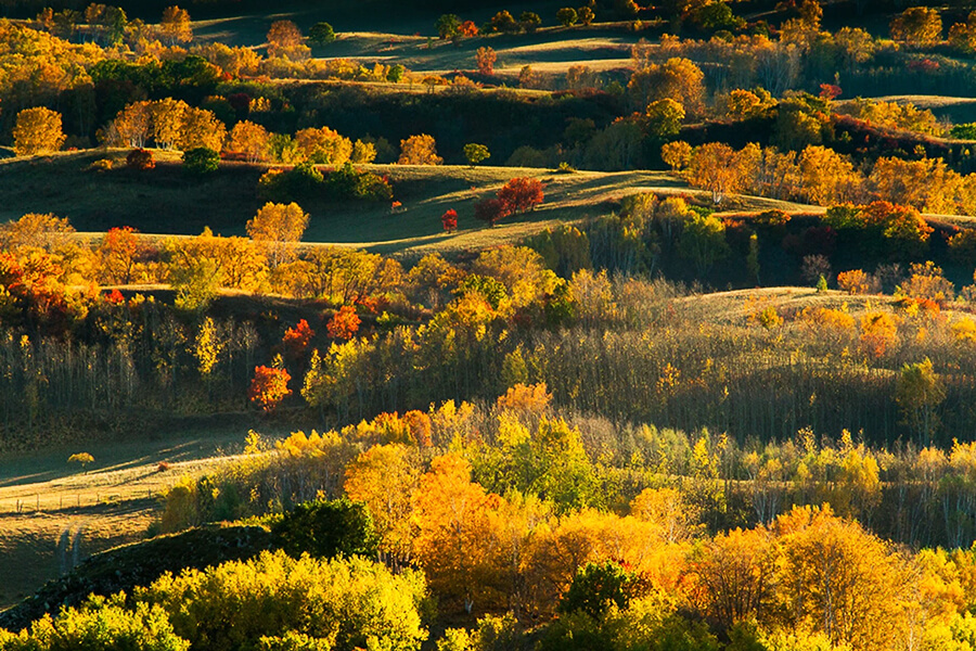 Autumn in Mongolia