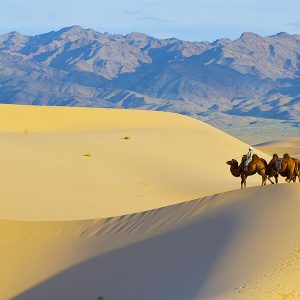 D4 Ikh Mongol Els - Mongolia tour packages