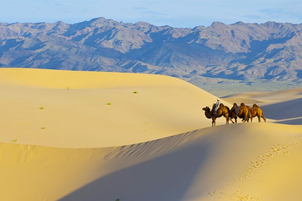 D4 Ikh Mongol Els - Mongolia tour packages