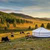 Exploring Mongolia With Family