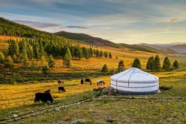 Exploring Mongolia With Family