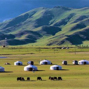 Family Fun Among Friendly Nomads