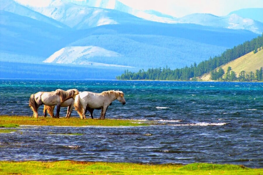 Khuvsgul Lake