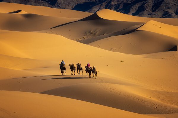 Khongor Sand Dunes - mongolia gobi desert tour