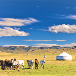 Mongolia 10 Etiquettes you need to avoid cultural mitsake