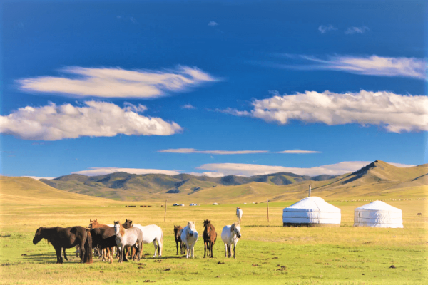 Mongolia 10 Etiquettes you need to avoid cultural mitsake