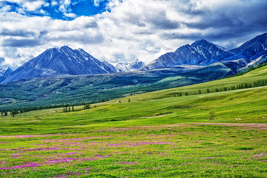 Spring in Mongolia