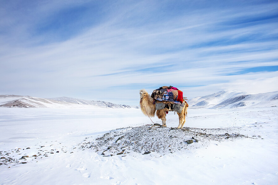 winter in Mongolia