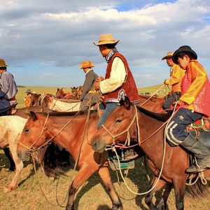 Camel and Horse-riding Paradise area