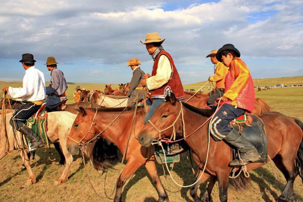 Camel and Horse-riding Paradise area