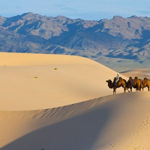 Elsen Tasarkhai Mongolia tours