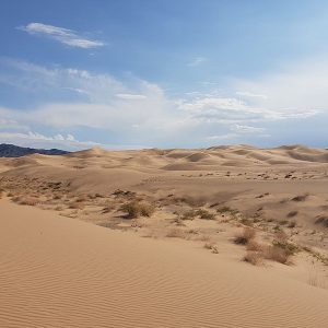 Gobi Desert