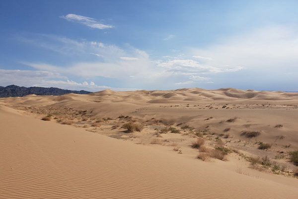 Gobi Desert