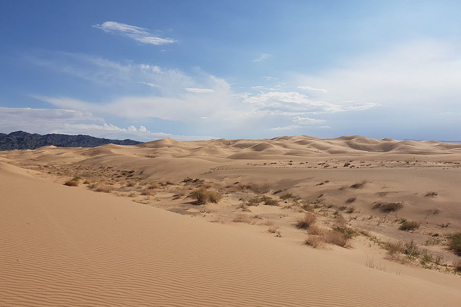 Gobi Desert 