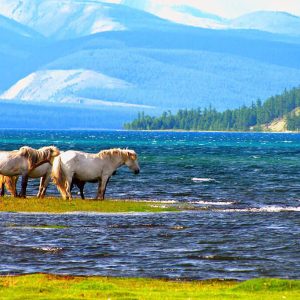 LAKE KHUVSGUL