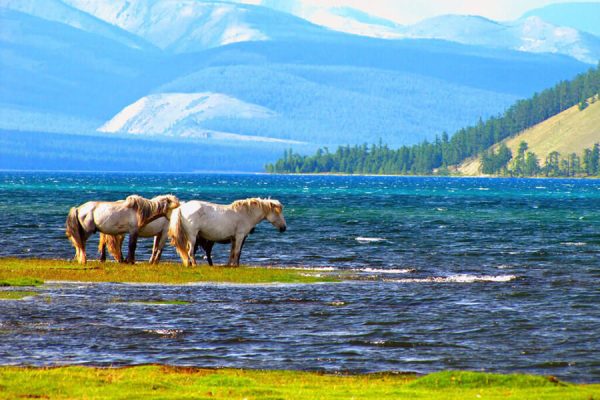 LAKE KHUVSGUL