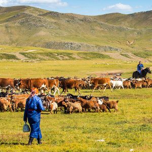 MONGOL nomadic theme camp Mongolia vacation packages