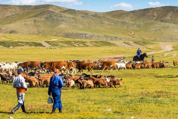 MONGOL nomadic theme camp Mongolia vacation packages