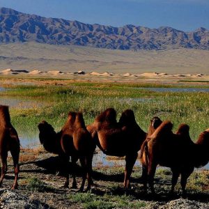 Uvurkhangai Mongolia