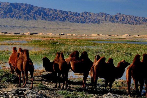 Uvurkhangai Mongolia