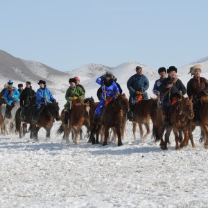 Horse Rodeo Show in Mongolia