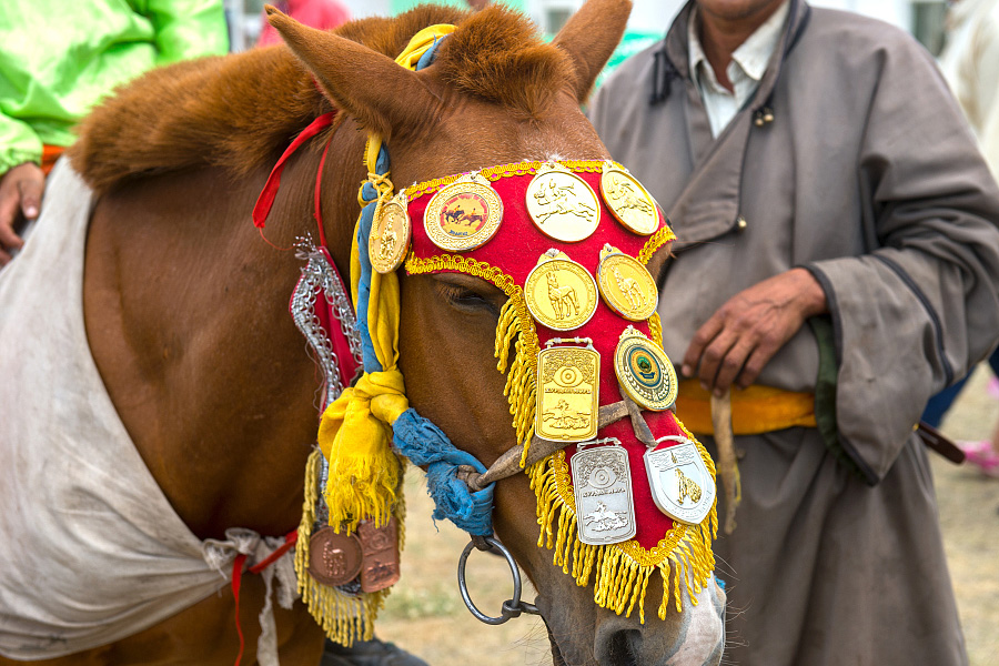 Horse ornament in Mongolia Adventure Tours