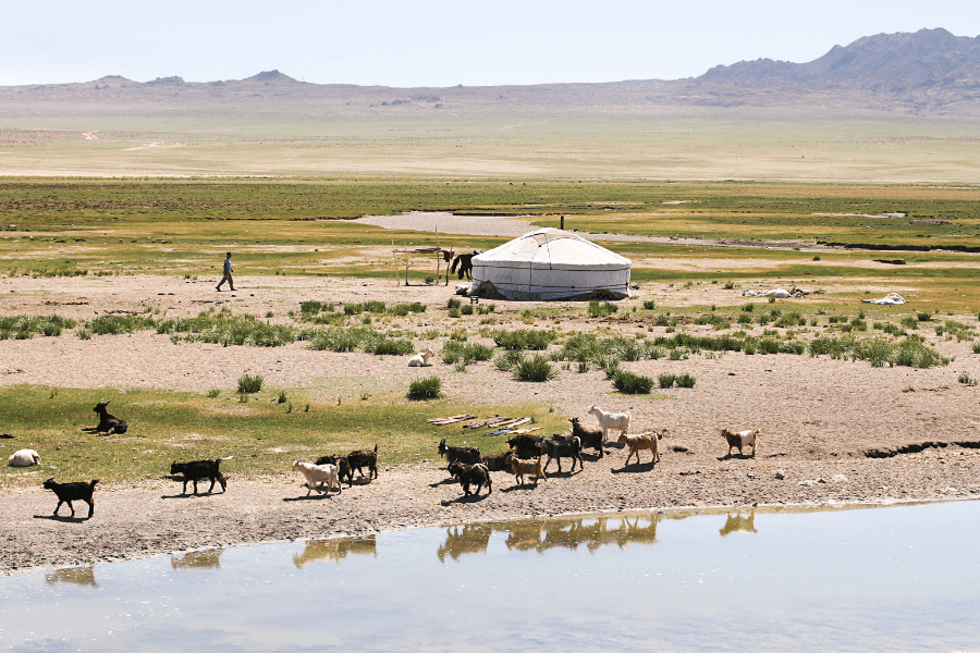 Why Mongolia Tour Packages are Perfect for Adventure Enthusiasts