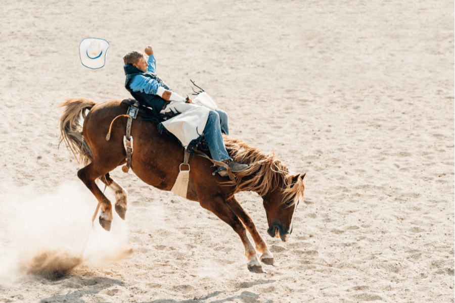 Horse Rodeo Show in Mongolia Travel Package