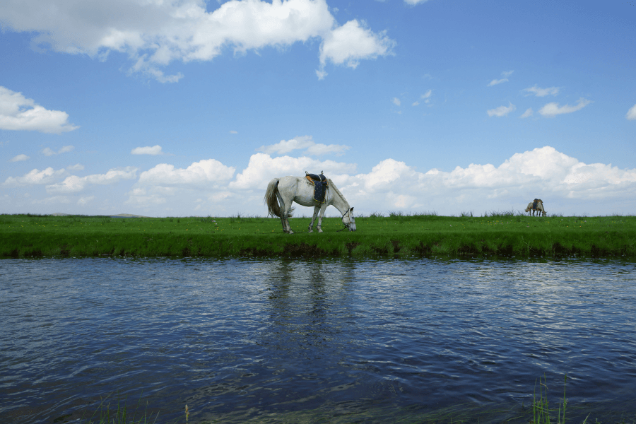 Mongolia Rivers and Lakes _ A Guide for Travellers