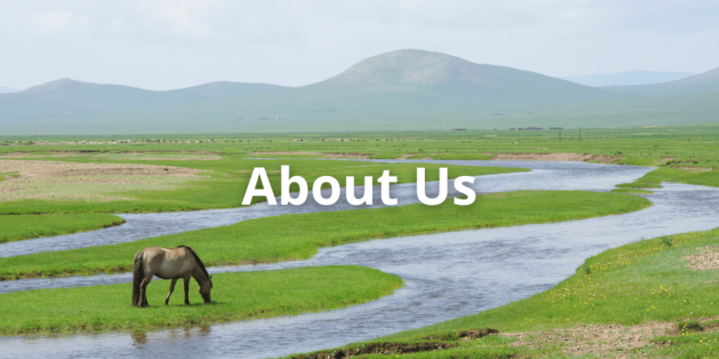 Go Mongolia Tours