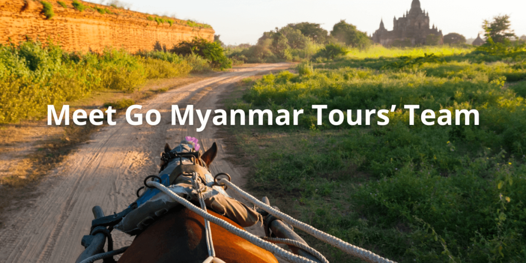 Go Mongolia Tours