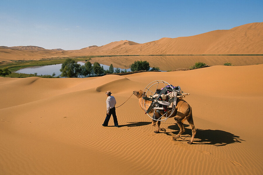 Secret Of the Gobi Desert - Mongolia 8-day tours