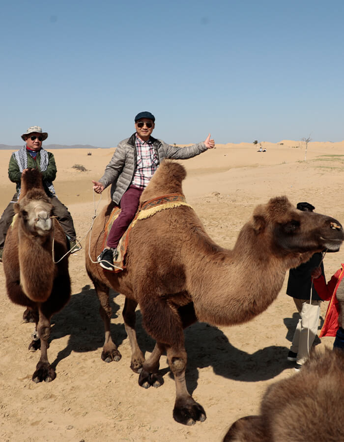 Book Mongolia Tour Packages with Us