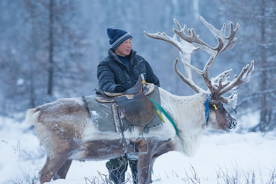Darkhad Depression - mongolia reindeer tribe tour