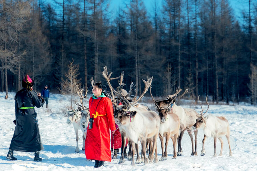 Nomadic Trails - mongolia reindeer tribe tour