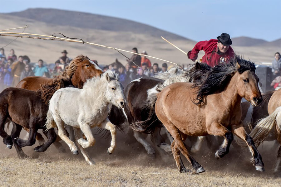 Mongolian Rodeo Show - mongolia 2 week itinerary
