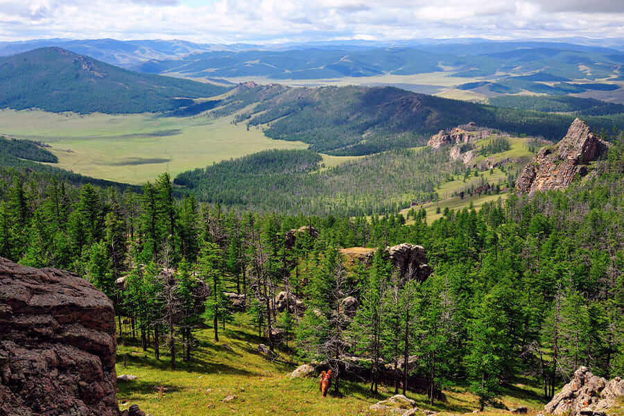 Pine Tree Mountain Gobi & Khuvsgul Lake Tour