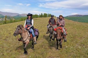 Mongolian Horse
