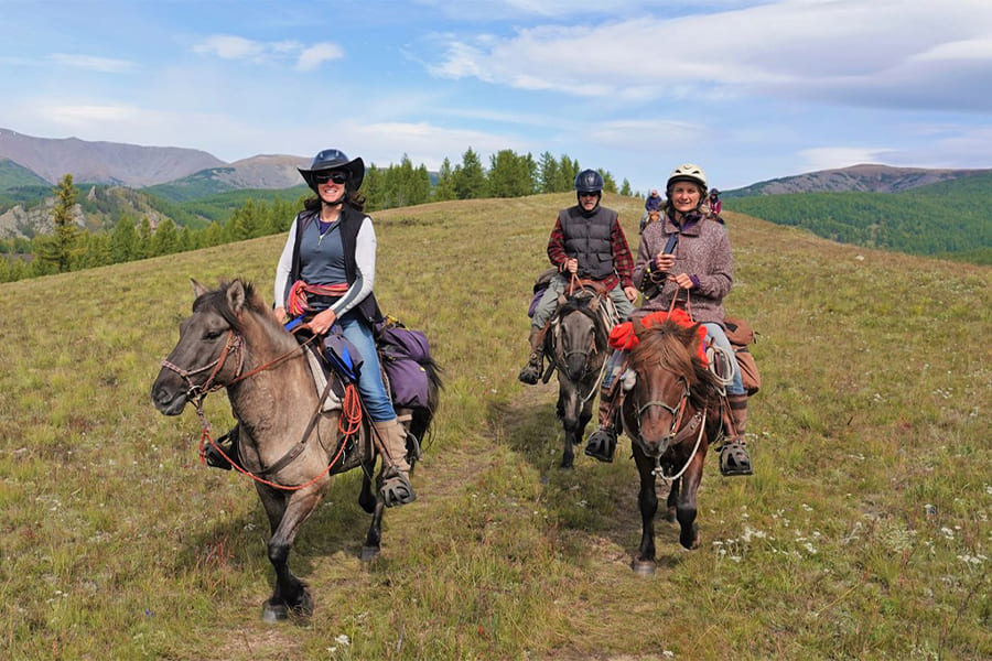 Mongolian Horse